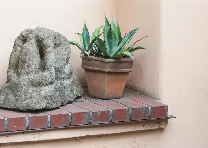 호스텔 포스텔 *